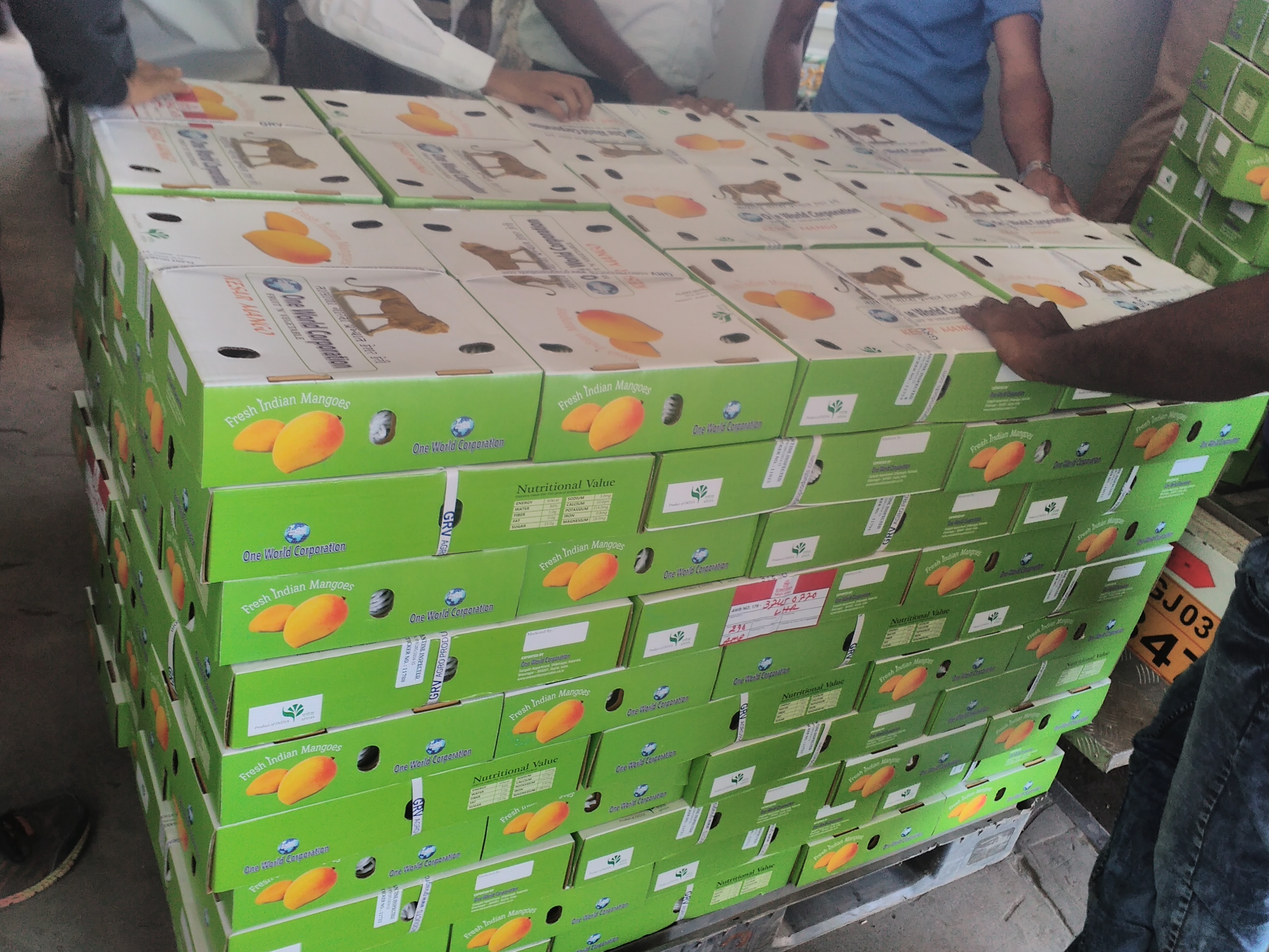 Open Air Alphonso Mango