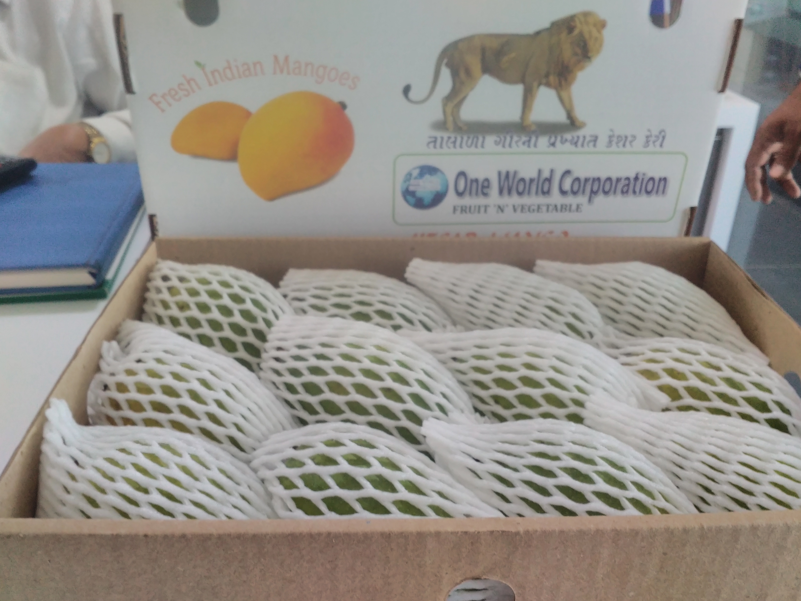 Open Air Alphonso Mango