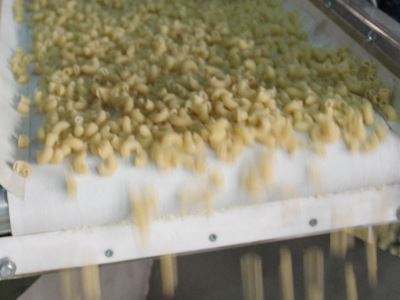 Pasta Extruder Machine - Color: Silver