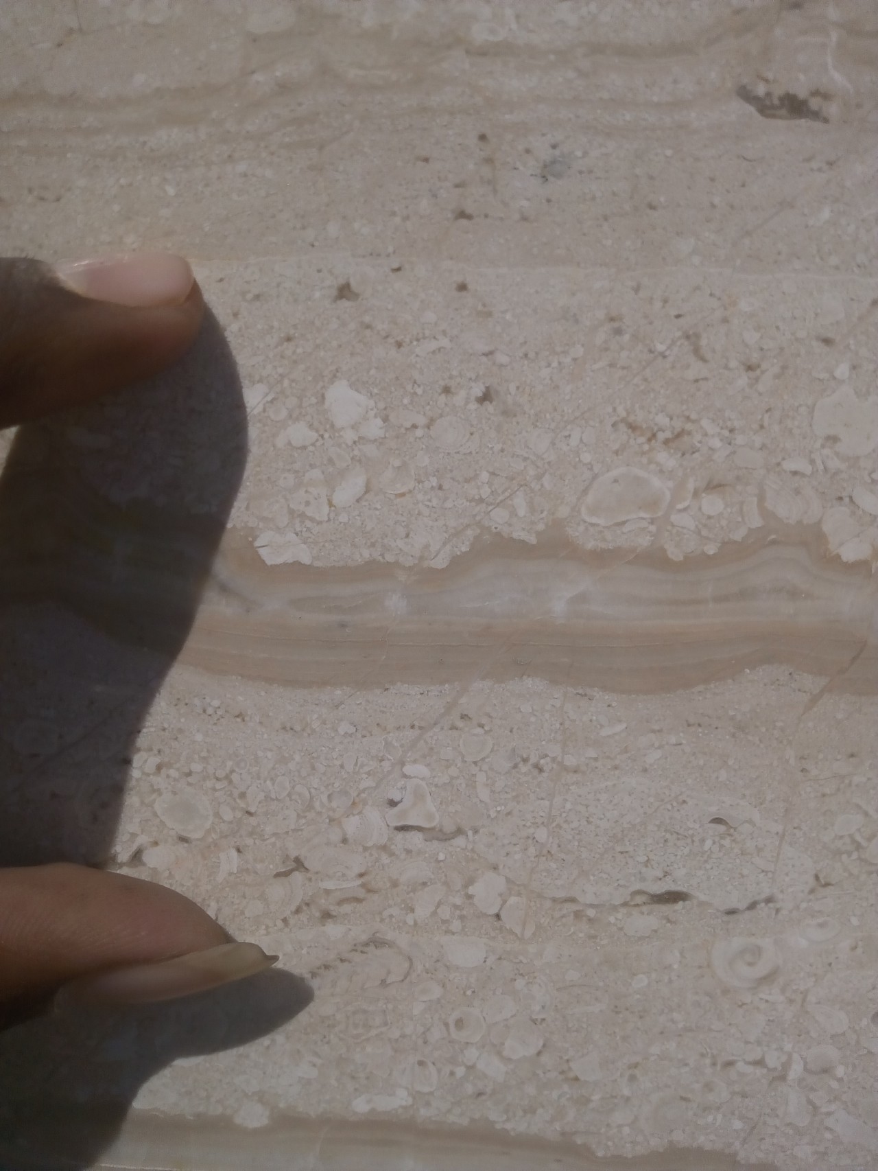 Italian Dyna Slabs Size: 68*66*140