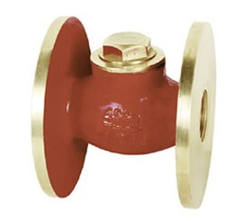 Check Valve