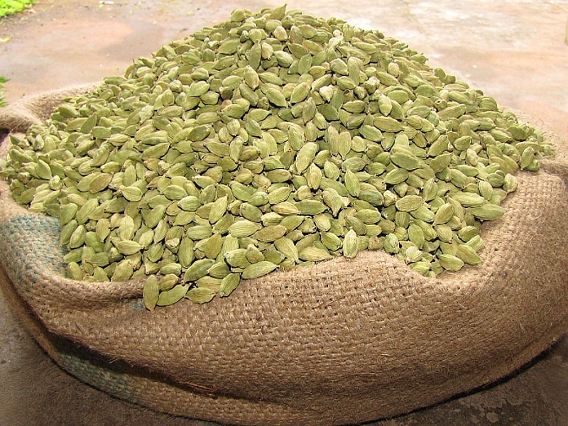 Organic Cardamom