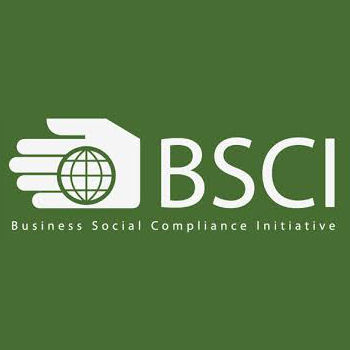 Bsci Certification Services