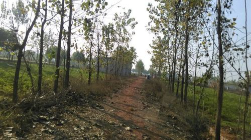 Katyani Township Chandpur