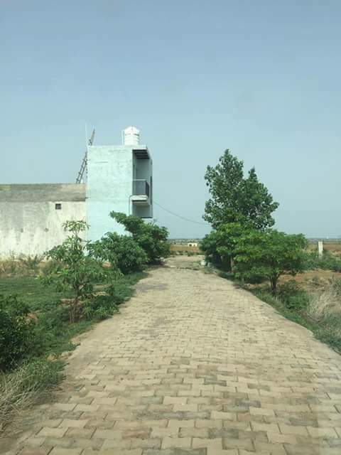 Katyani Township Chandpur