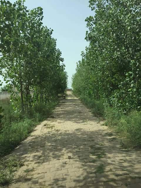 Katyani Township Chandpur