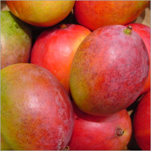 Alphonso Mango Pulp