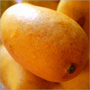 Fresh Mango Pulp
