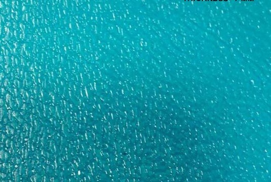 Pp + Pc Embossed Roof Sheet - 1.5 Mm Thickness, 3/4/5 X 100 Feet, Clear/green/blue | 100% Virgin Material, Eco-friendly, 5-year Warranty