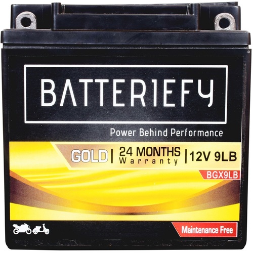 12V 9AH गोल्ड AGM बाइक बैटरी