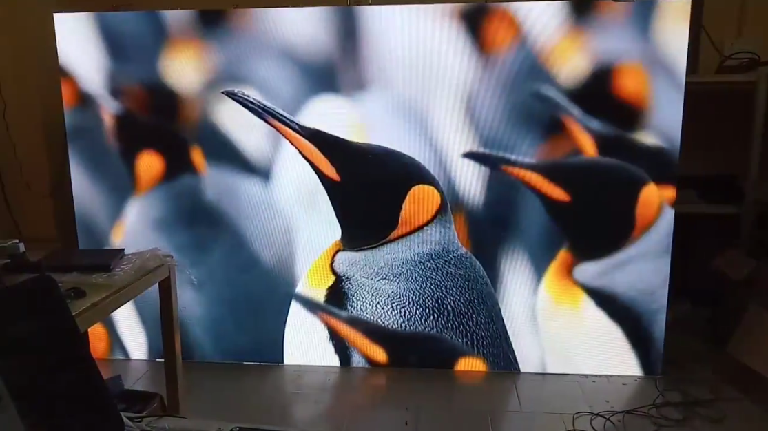 Glass Led Video Wall