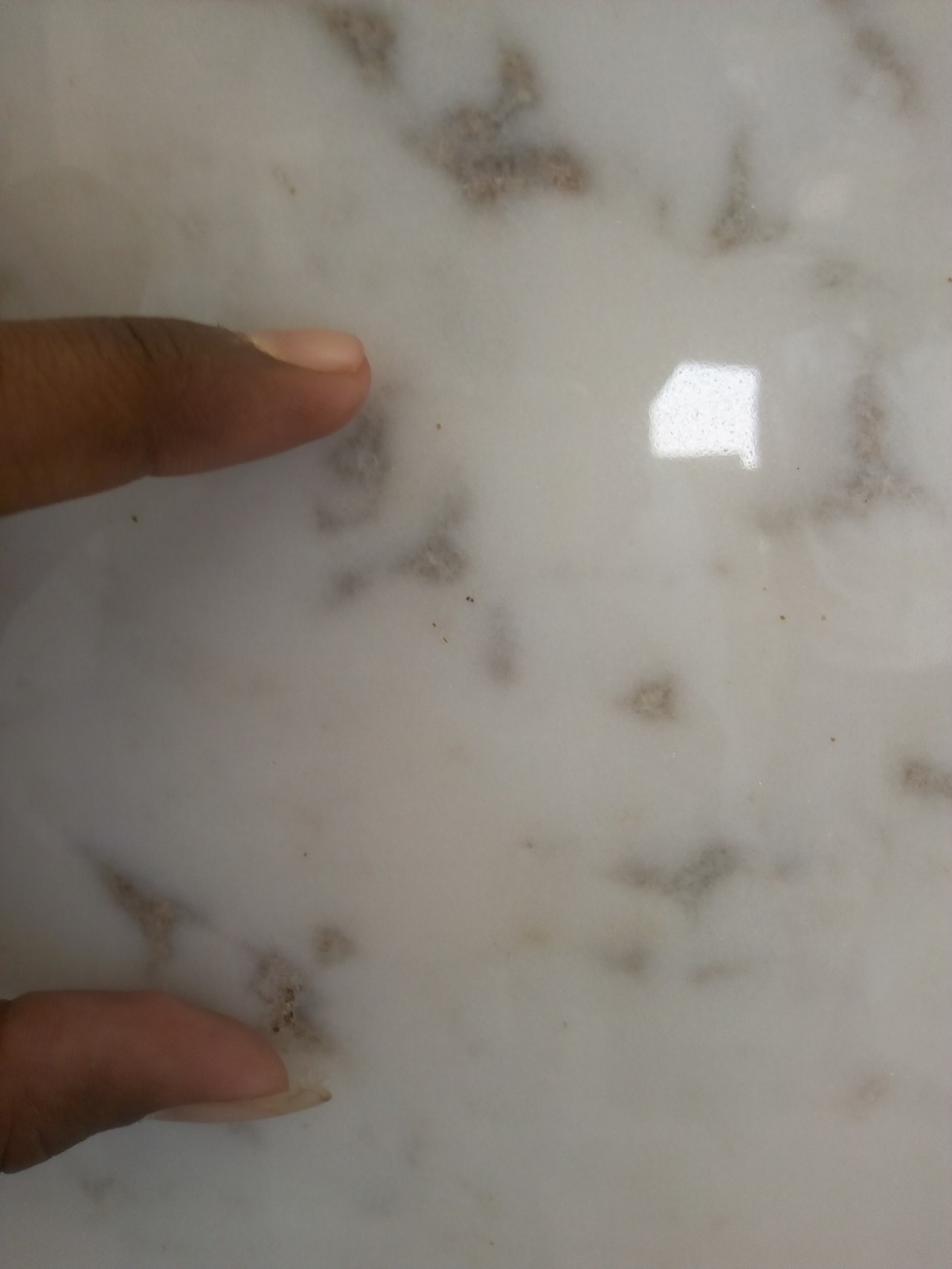 Indian Volakas White Marble Size: 70*48*68