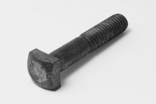 Round Square Head Bolt