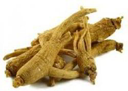 American Ginseng Extract - 10:1 Ratio, 99% Purity Yellow Brown Fine Powder, Edible, No Smell, 80 Mesh Sieve Analysis