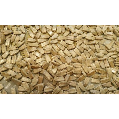 Brown Bottle Gourd Seeds