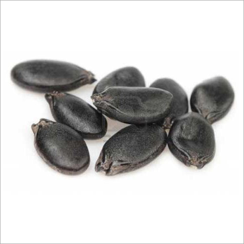 Black Ridge Gourd Seeds