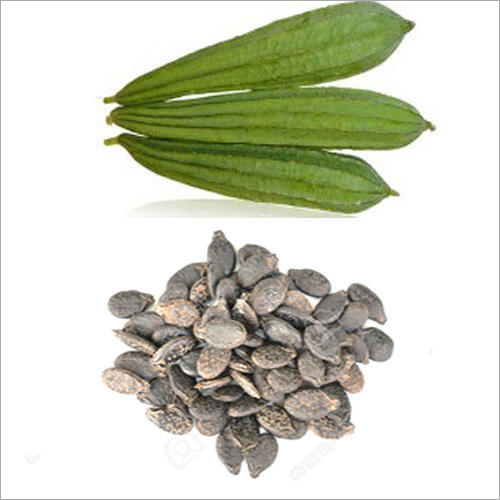 Organic Ridge Gourd Seeds - Early Maturity | 100% Pure, Tender White Flesh, Hygienically Processed