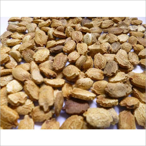 Brown Fresh Bitter Gourd Seeds