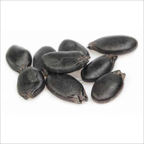 Black Hybrid Sponge Gourd Seeds