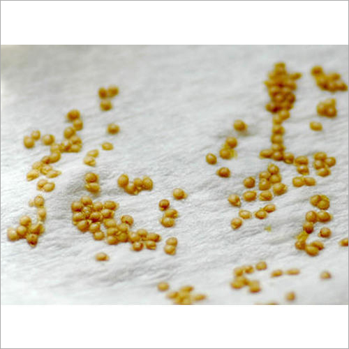 Yellow Hybrid Tomato Seeds