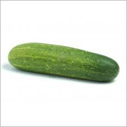 Agriculture Cucumber Seeds