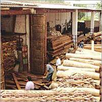 हमारे टिम्बर प्लांट का एक दृश्य