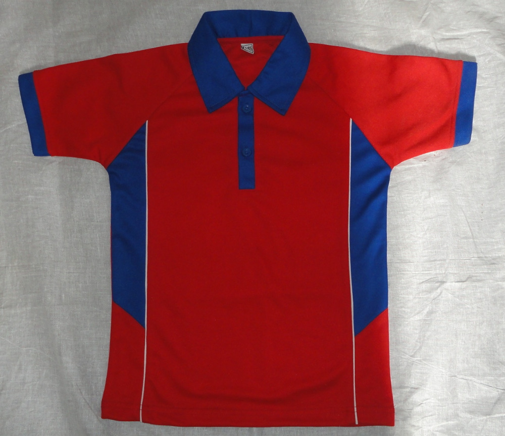 School T- Shirts Age Group: 6-18