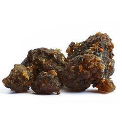 गुग्गल एक्सट्रेक्ट एज ग्रुप: वयस्कों के लिए