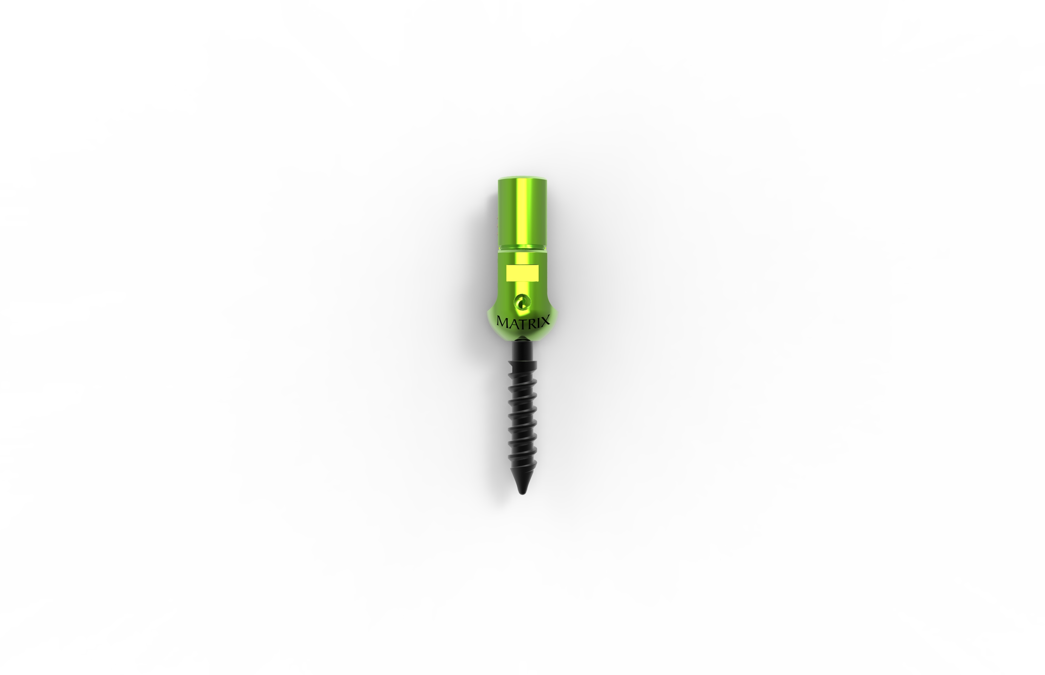 Green Reduction Polyaxial Screw