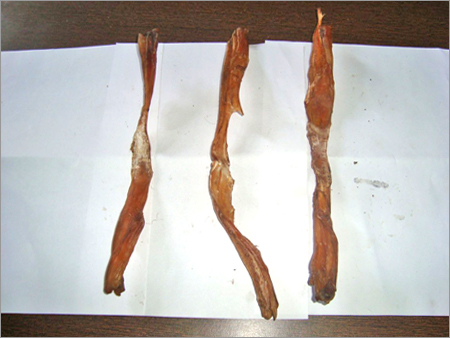 घुटने का टेंडन 3