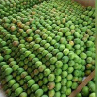 Fresh Mango