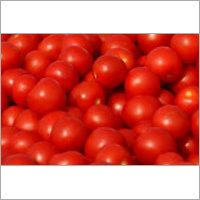 Fresh Tomato