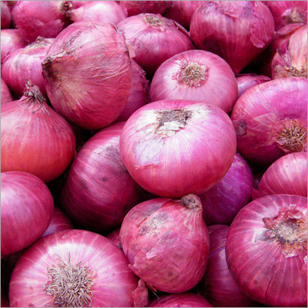 Red Onion