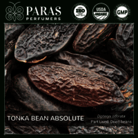 TONKA BEAN ABSOLUTE