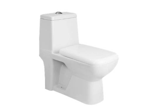 Fern One Piece Ewc - Ceramic, 660x350x725 Mm , White, Floor Mounted, 45 Kg Weight