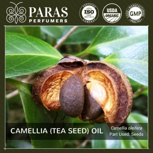 Camellia (Tea Seed) Oil Usage: Personal Care