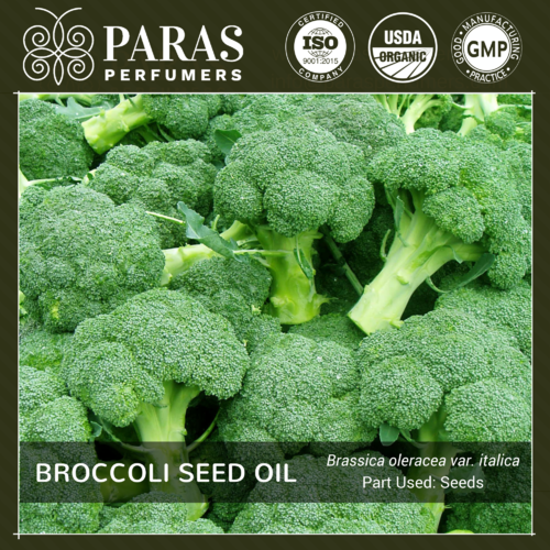 Broccoli Seed Oil Usage: Personal Care