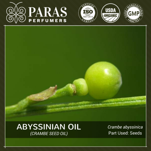Abyssinian (Crambe) Seed Oil - Cold Pressed Botanical Extract | Pale Yellow Liquid, Faint Odour, Ideal for Personal Care