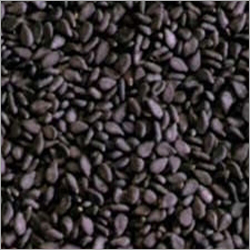 तिल का तेल