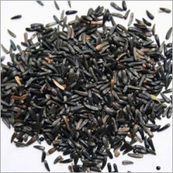 नाइजर के बीज