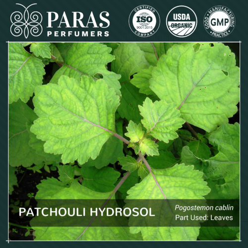 Patchouli Hydrosol - Colorless Transparent Liquid, Ph 3.00-6.00 | Rich Musky Earthy-sweet Odour, Ideal For Personal Care