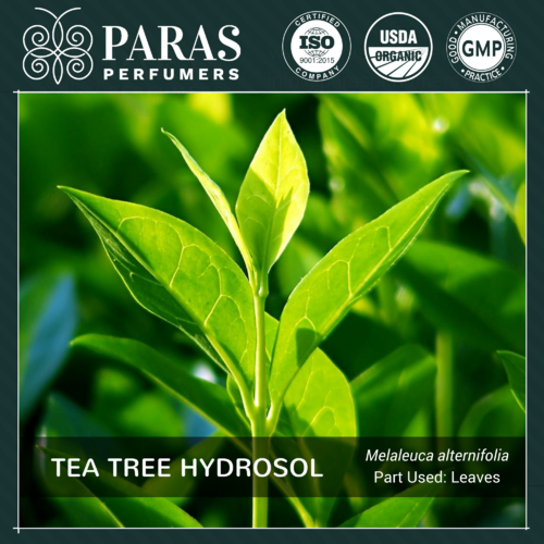 Tea Tree Hydrosol Usage: Personal Care