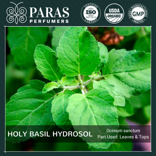 Holy Basil (Tulsi) Hydrosol Usage: Personal Care