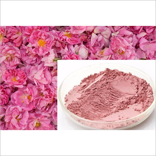 Rose Petal Powder - Pink, Powdered Rose Petals | Tridoshic Herb for Skin Nourishment, Anti-Aging and Hair Strengthening