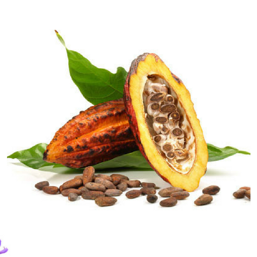 Cocoa Butter Usage: Personal Care