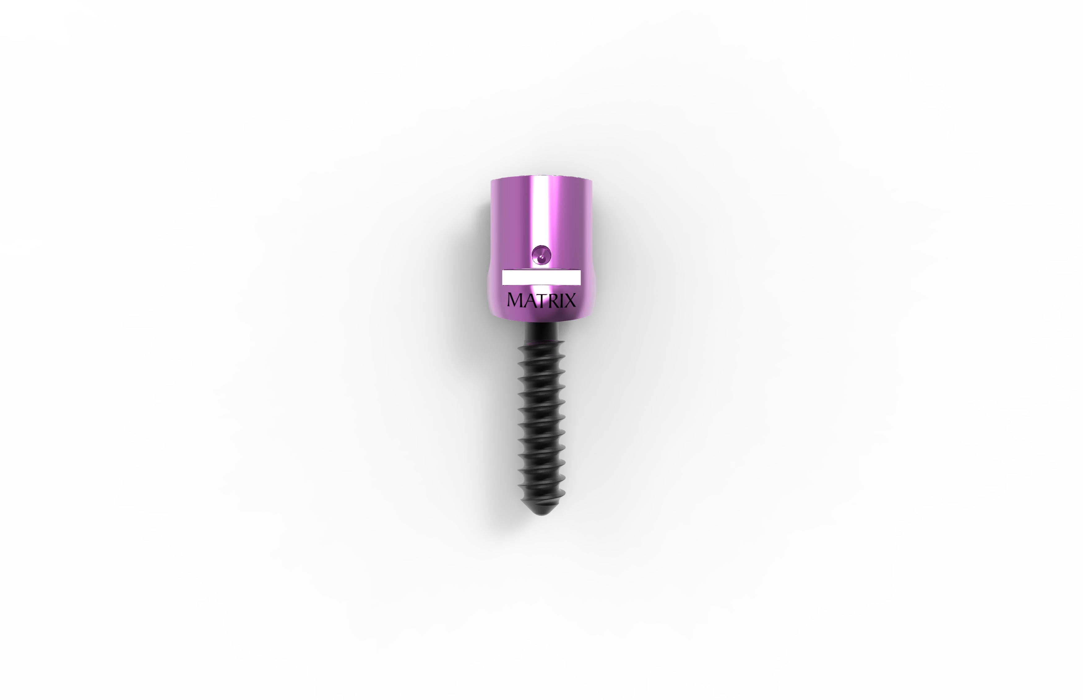 Purple And Black Polyaxial Occipital Screw