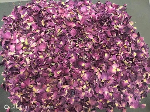 सूखा गुलाब का फूल