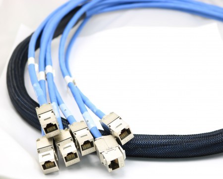 C6a Sftp 23awg Solid Wires Trunk Cable