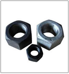 Hex Nuts