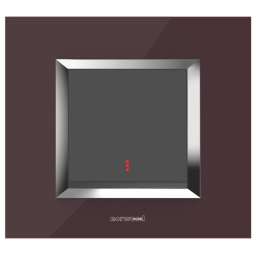 सूचक के साथ एक तरफा स्विच